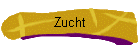 Zucht