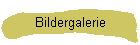 Bildergalerie